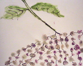 Textildruck mit Bl�ttern